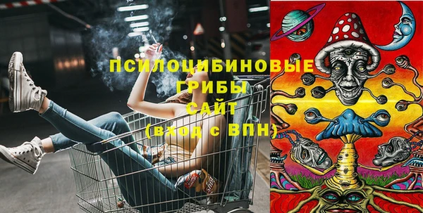 спайс Алексин